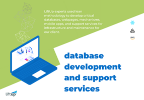 Database Development and Support Services